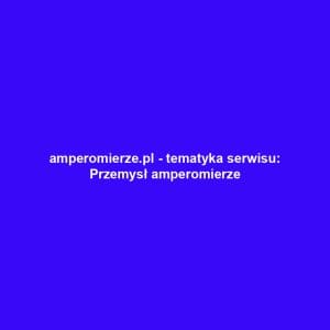 amperomierze.pl - tematyka serwisu: Przemysł amperomierze