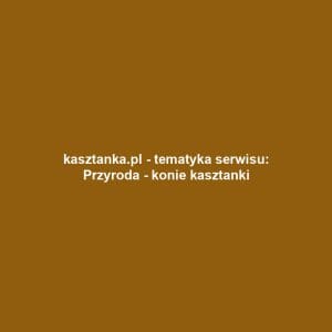 kasztanka.pl - tematyka serwisu: Przyroda - konie kasztanki