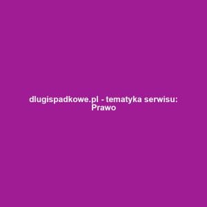 dlugispadkowe.pl - tematyka serwisu: Prawo