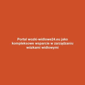 Portal wozki-widlowe24.eu jako kompleksowe wsparcie w zarządzaniu wózkami widłowymi