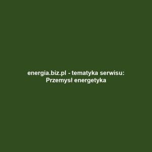 energia.biz.pl - tematyka serwisu: Przemysł energetyka