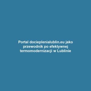 Portal docieplenialublin.eu jako przewodnik po efektywnej termomodernizacji w Lublinie