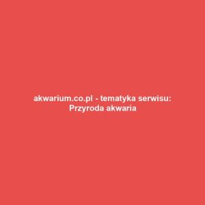 akwarium.co.pl - tematyka serwisu: Przyroda akwaria