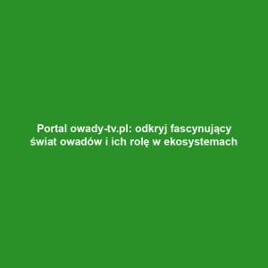 Portal owady-tv.pl: odkryj fascynujący świat owadów i ich rolę w ekosystemach
