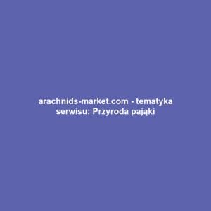 arachnids-market.com - tematyka serwisu: Przyroda pająki