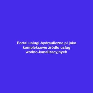 Portal uslugi-hydrauliczne.pl jako kompleksowe źródło usług wodno-kanalizacyjnych