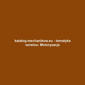 katalog-mechanikow.eu - tematyka serwisu: Motoryzacja